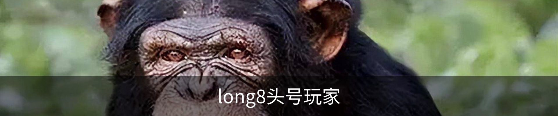 long8头号玩家